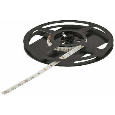 Led 3049 multiblanco