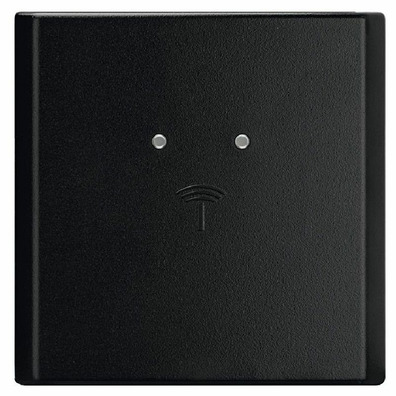 WT300 negro